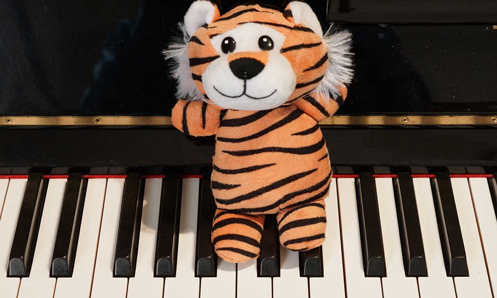 Frasier the piano tiger